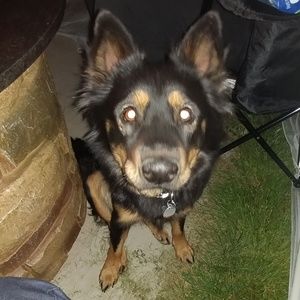 Meet your Posher, Candice